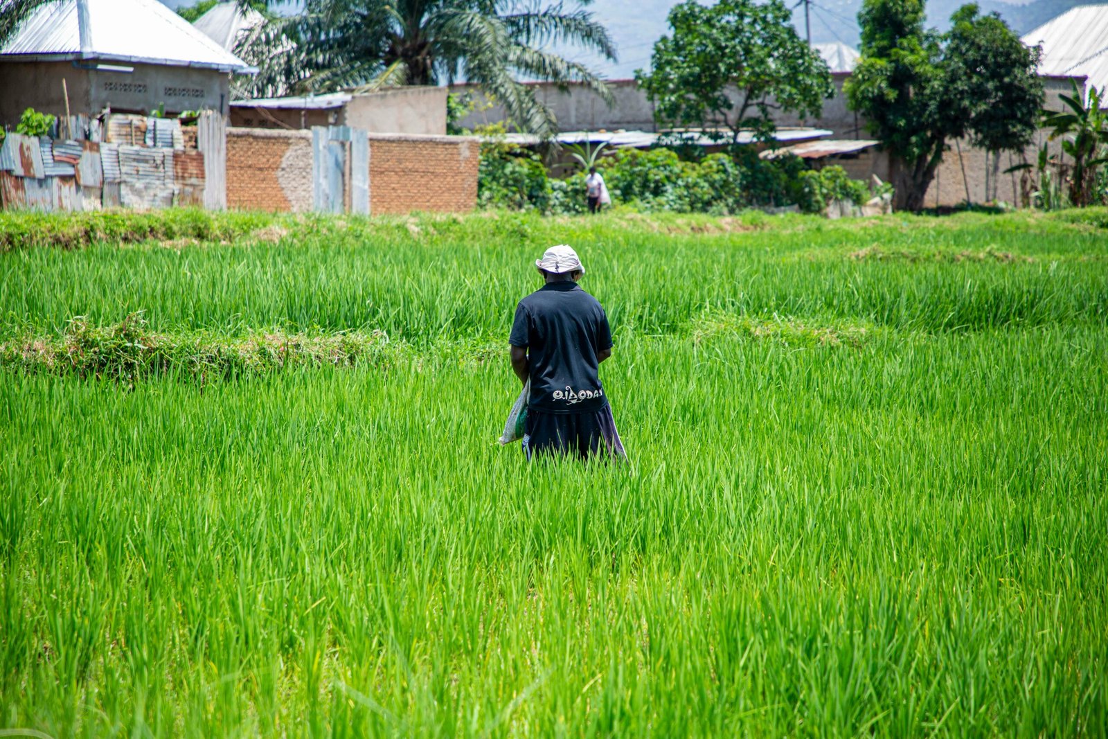 A farmer in a hat walks through a lush green field in a countryside setting, showcasing agriculture and rural life.